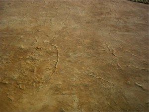 Stamped Concrete